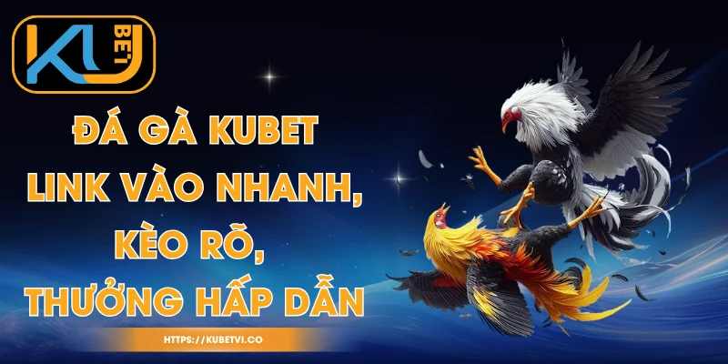 Đá Gà Kubet - Link Vào Nhanh, Kèo Rõ, Thưởng Hấp Dẫn